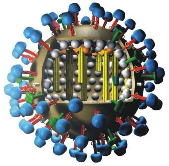 influenza-virus.jpg