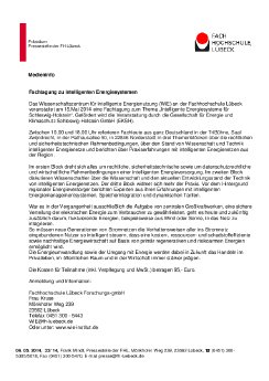 33-05-14-Intelligente Netze.pdf