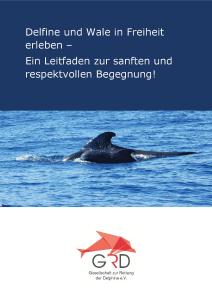 Leitfaden der Gesellschaft zur Rettung der Delphine für sanftes und respektvolles Whale Watching