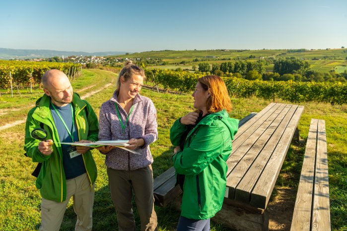 Rheinhessen-2021-641-Ingelheim, Krimiwanderung.jpg
