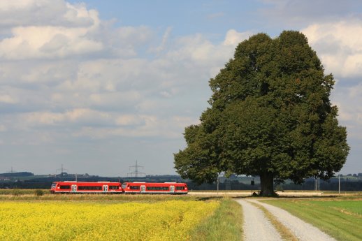 Moorbahn_Zug bei Haidgau_Foto Felix Löffelholz.jpg