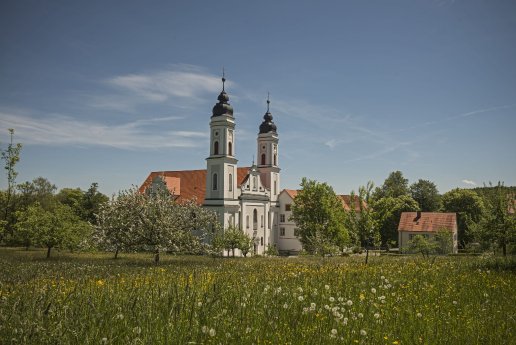 _DSC7153 Irsee Frühling.jpg