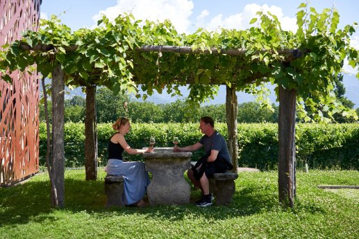 Web Version-Terreni alla Maggia-Alexander Vissing.jpeg