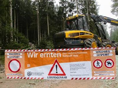 Landesforsten sanieren Wälder um Braunlage