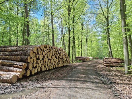 PM-2026-IPM-Nachhaltige Moebel-Foto-1.jpg