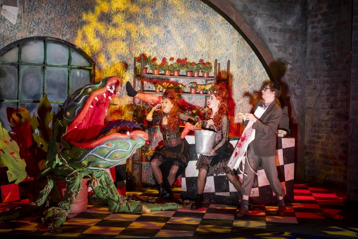 HP2_Der_kleine_Horrorladen_00597_©Dirk_Rückschloß_Presse.jpg