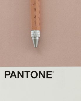 PIP20_Construction_Troika_Pantone Peony.jpg