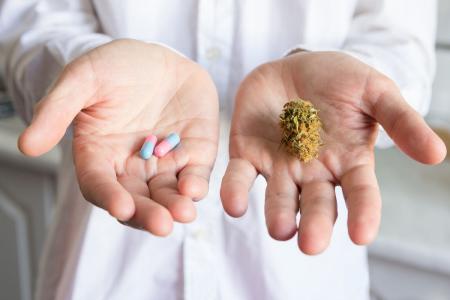 Softes Cannabis / Foto: Fotolia