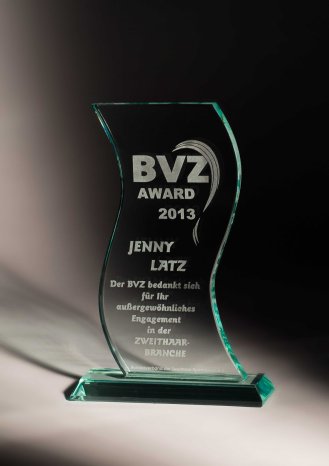 BVZ_Award_2013.jpeg