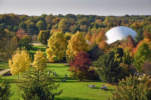 Park-der-gaerten_Herbst_im_Park.jpg