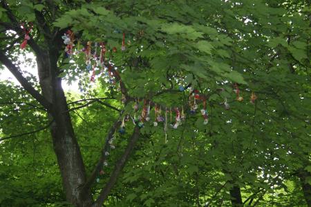 Schnullerbaum