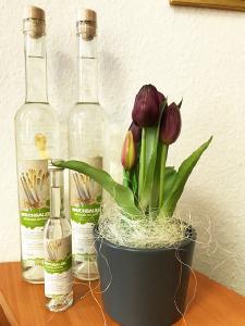 Spargelschnaps, Foto: BTMV