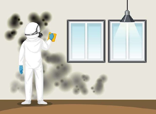 man-protective-hazmat-suit-cleaning-mold-wall_1308-110992-1.jpg