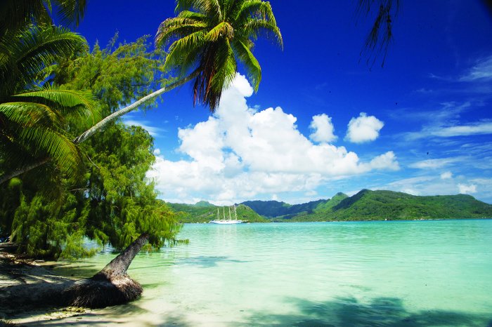 @Star Clippers Kreuzfahrten, 20081210_JH_0327b (1).jpg