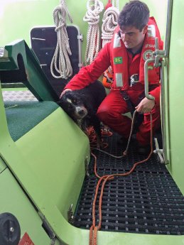 2016-04-08  Seenotretter retten Hund aus der Nordsee (1).JPG