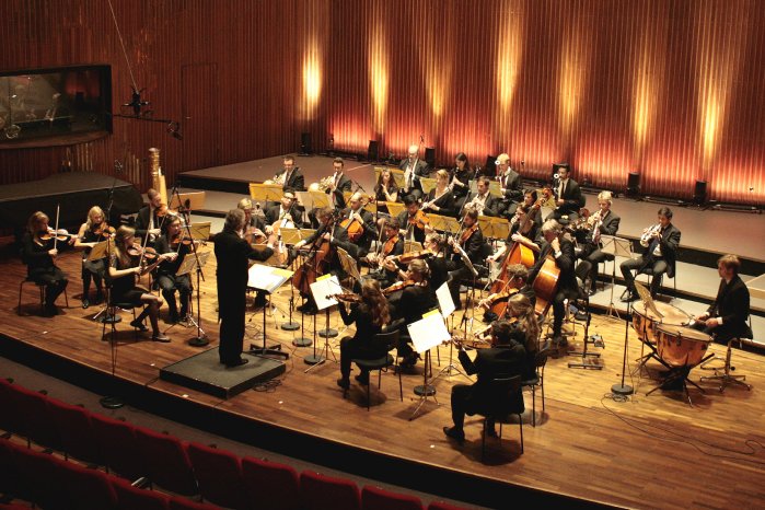 Kammerorchester Pro Artibus.jpg