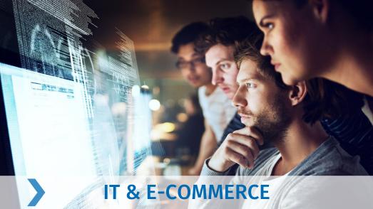 IT und E-Commerce