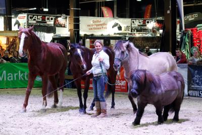 Reitsportmesse Niederrhein / Foto: div