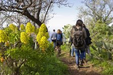 Sonnenbrille auf und Wanderschuh an: Auf La Palma ist immer Frühling