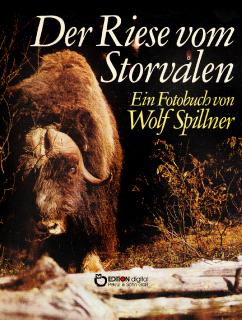 Der Riese von Storvalen