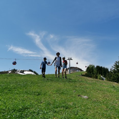 Familie beim Wandern am Schatzberg Sommer mit ein wenig Schnee FG T.L.  REchte Widlschönau Touri.jpg