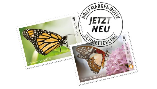 LMF-Schmetterlingsmarken_Herbst.png