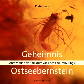 Geheimnis Ostseebernstein Cover.jpg