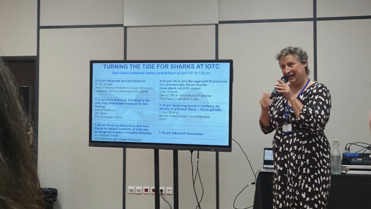 Vortrag von Iris Ziegler beim IOTC-Shark-Event.jpeg