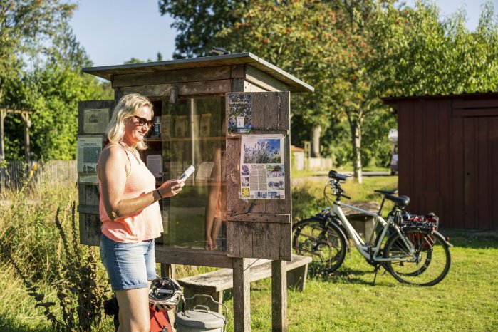 _DSC9774-Stapel-Lavendelfeld©Mönchsweg e.V.-MarTiem Fotografie.jpg