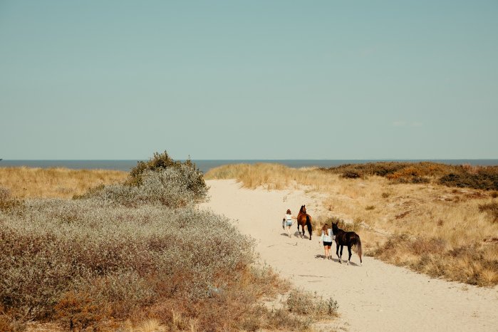 natuur-knokke-heist_53488735413_o.jpg