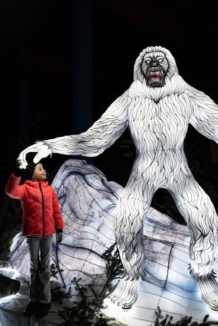 Wunderlight - Wunderland Kalkar - 11.jpg