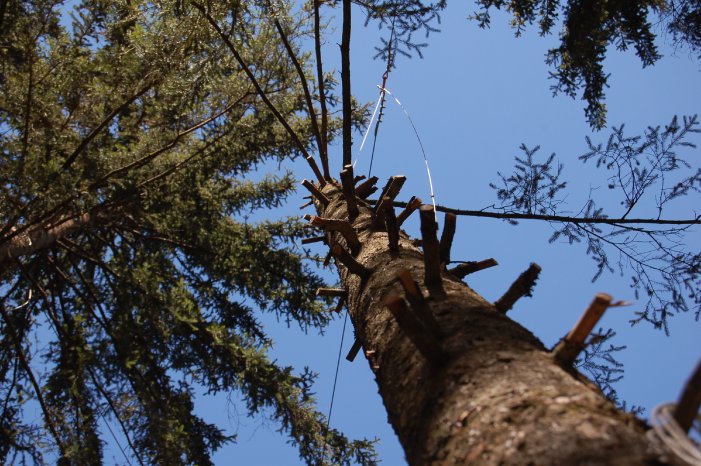 Hochseilgarten Sommer 1 Rechte TVB Wildschönau (5).jpg