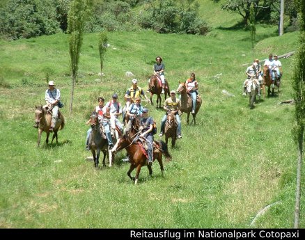 RS18246_aktiv reiten.jpg