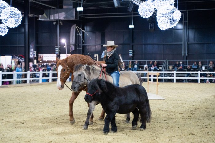 Pferd & Reiter Niederrhein (c)Messe Kalkar (3).jpg