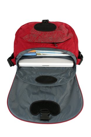 Padded laptop compartment and removable laptop sleeve 1.JPG