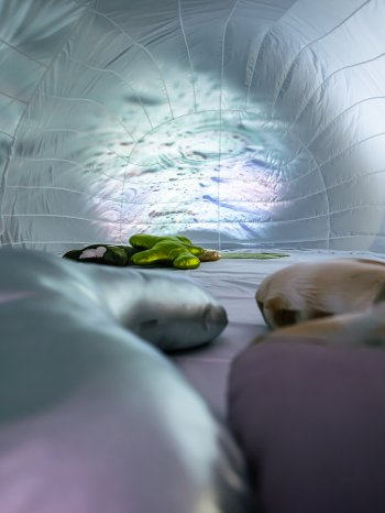 Breathe with Pilatus_P1150351 @Roger Hügi.jpg