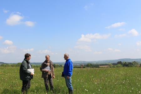 Das Foto zeigt eine Wiese in der Nähe von Bermuthshain mit (von links) Joachim Schönfeld (Amt für Wirtschaft und den ländlichen Raum), Wolfgang Wagner (Planungsbüro PlanWerk Nidda) und Dr. Rainer Oppermann (Leiter des Instituts für Agrarökologie und Biodiversität, Mannheim). Foto: Michaela Fedeli (Naturschutzgroßprojekt)