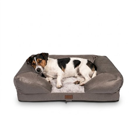 Katzen_und_Hundebett_Husky_S_Hauptbild_mit_Hund.jpg