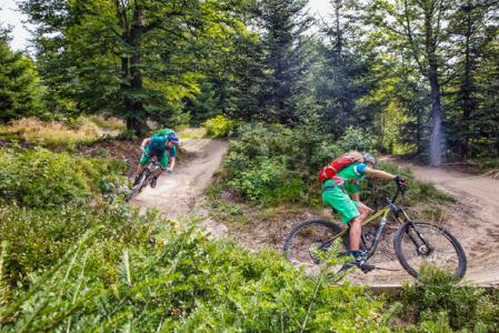 Der Bayerische Wald: Paradies für Mountainbiker. Neues Highlight ist die Trans Bayerwald – eine 700 Kilometer lange Mountainbike-Runde, die den schönsten Bereich des Bayerischen Walds erschließt. Foto: obx-news/Tourismusverband Ostbayern