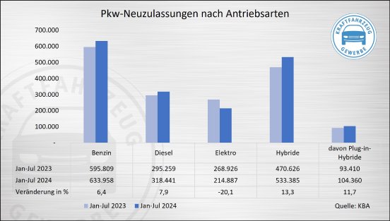 Pkw-Neuzulassungen n~en Jan-Jul 2024.jpg