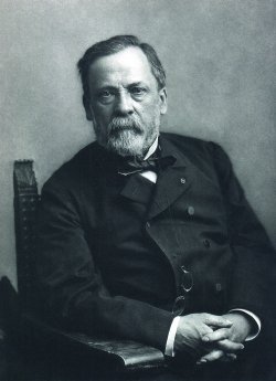 Louis_Pasteur_foto_av_Paul_Nadar_Crisco_CMYK.jpg