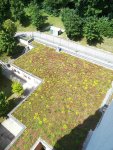 Grüne Dächer sind „grüne Lungen“ in den Metropolen – made by Dachdecker.