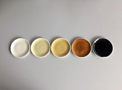 Design for debate serVies Piscaer