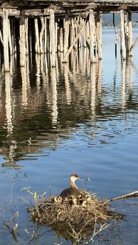 IMG_0187.jpg