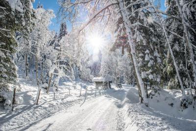Wintertraum Wildschönau