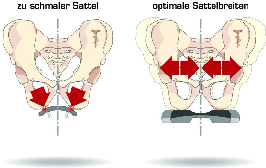 Ein Sattel muss passen wie ein Paar Schuhe.jpg