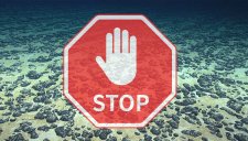 Der Tiefseebergbau stellt eine existenzielle Bedrohung für unsere Ozeane und unseren Planeten dar – es sei denn, es wird jetzt entschieden gehandelt. Der Bergbau am Meeresgrund darf niemals starten!