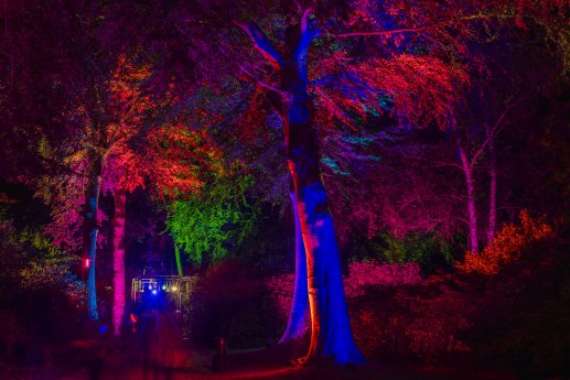 Archivfoto-Nachts-im-Park-GM-AP-1.jpg