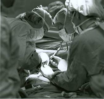Dr. Leonard Bailey und Team bei der Kinderherztransplantation von Baby Fae am Loma Linda University Medical Center 1984 © Foto: Loma Linda University Health