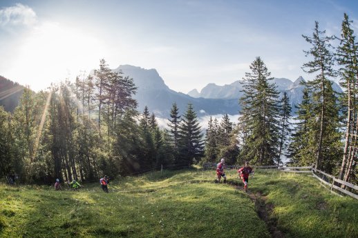 ZTC16_Harald Wisthaler_7910.jpg